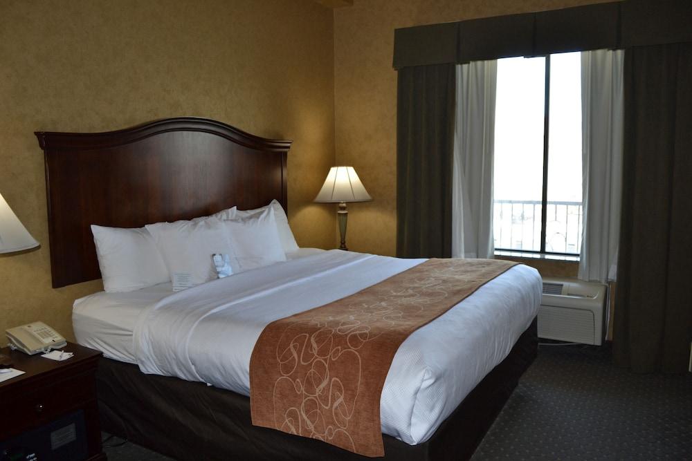 Comfort Suites Alamo Riverwalk San Antonio Exterior foto